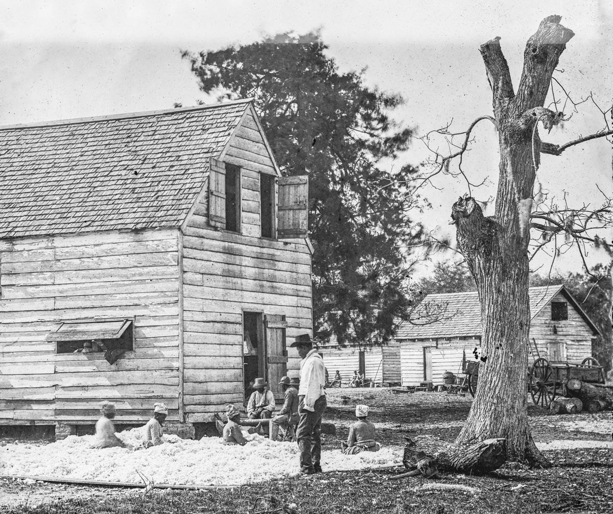 Port Royal Island, S.C., African Americans preparing cotton for the gin on Smith’s Plantation. In Confederate territory all this cotton was of little use without the means to process it.