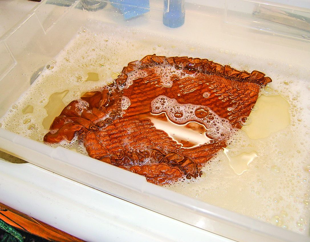 Wet cleaning bonnet in small plastic container.