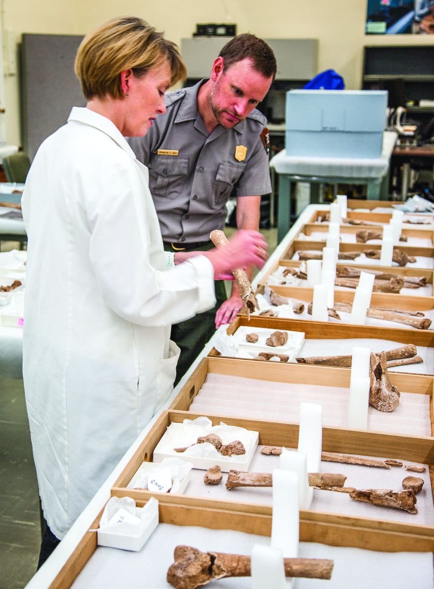 Manassas National Battlefield Park Superintendent Brandon Bies inspects an amputated limb with Smithsonian scientist Kari Bruwelheide, 2018. Bies is a trained archaeologist and participated in the excavation at Manassas. (National Park Service, photo by Nathan King)