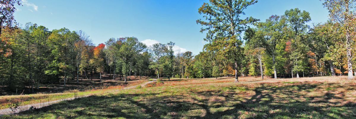 View west of the Ball’s Bluff Civil War Battlefield Leesburg, Va. October 2016. Courtesy Ron Cogswell.
