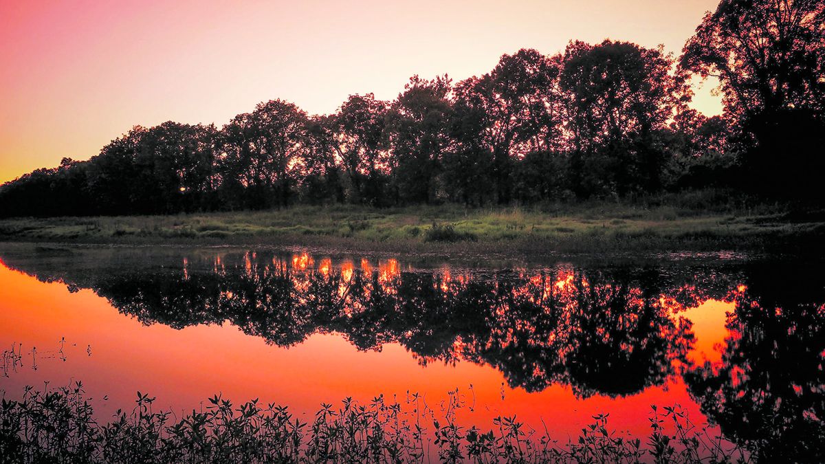 Cool Spring photograph by Matt Brant.
