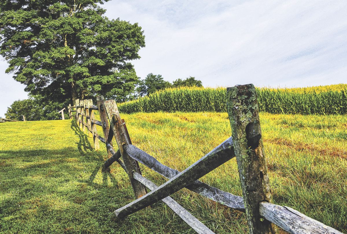 Mill Springs Battlefield in Nancy, Ky. (Photo by Michael Byerley)