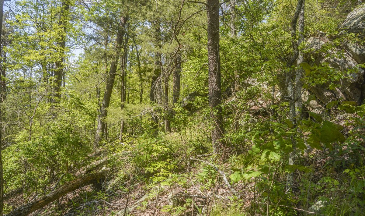 Georgia Civil War Heritage Trails: The Atlanta Campaign, Part 1 — photograph 8 from the original article