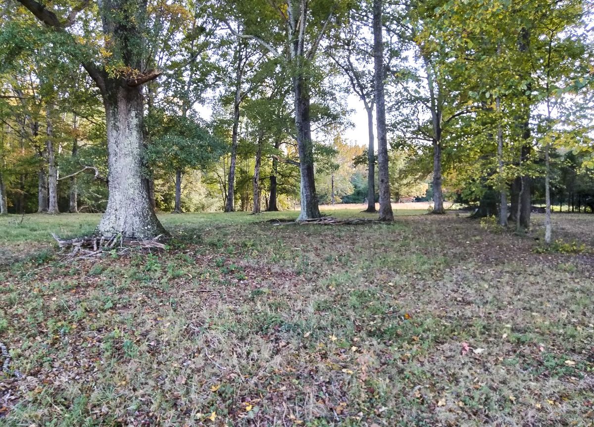CVBT is currently campaigning to save two acres on the Chancellorsville battlefield where the Stonewall Brigade spent part of the night of May 2-3, 1863. (CVBT photo)