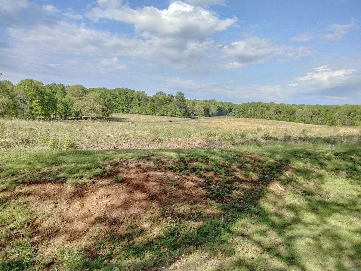 “We Were Obliged to Retire:” Bartlett’s Brigade’s May 5, 1864, Wilderness Experience — photograph 6 from the original article