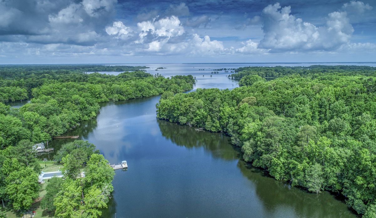 Eutaw Springs Battlefield in Eutawville, S.C. Photo by Ryan Montgomery.