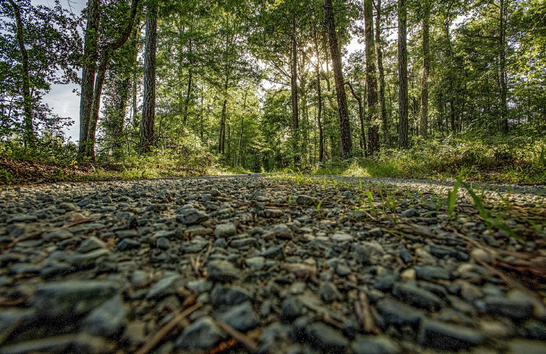 America Battlefield Trust Preserve. Educate. Inspire. — photograph 2 from the original article