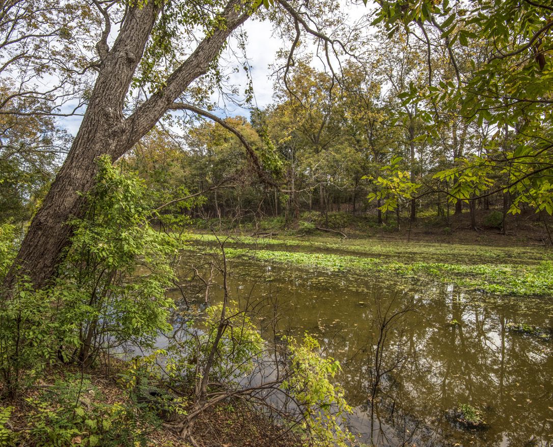 America Battlefield Trust — lead photograph from the original article