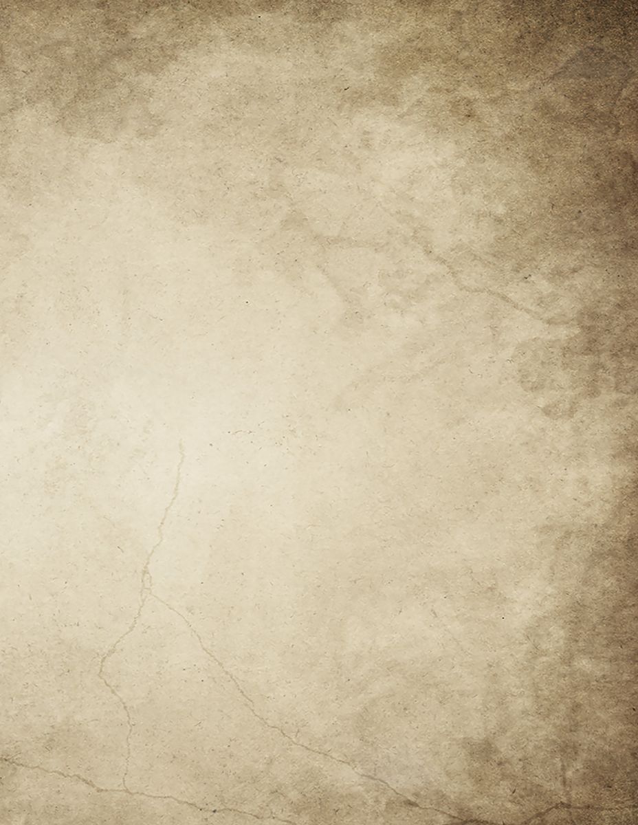 Untitled (p. 34) — photograph 6 from the original article