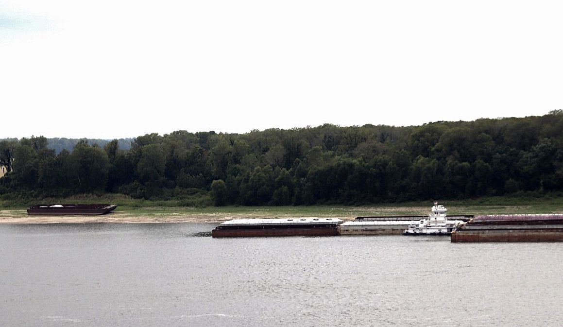 A view from Columbus Park across the Mississippi River at the Belmont Battlefield. — photograph 7 from the original article