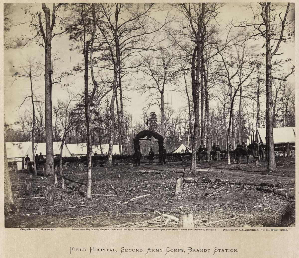 47th Southeastern Civil War Show & Antique Gun show News — lead photograph from the original article