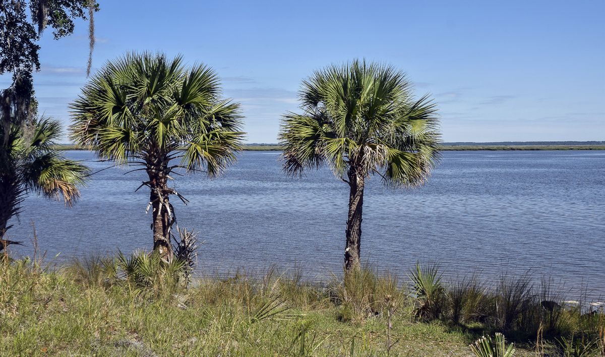 Fort McAllister Southern Sentinel on Georgia’s Ogeechee River — photograph 6 from the original article