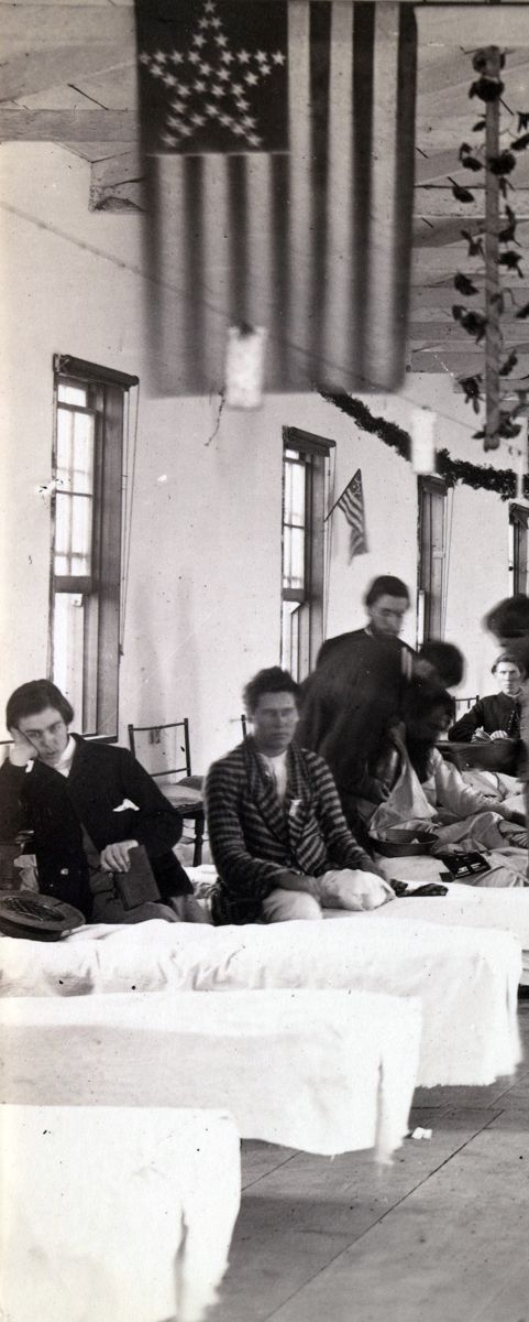 A Healer’s Hat and Manual Fannie Palmer, Artist — photograph 6 from the original article