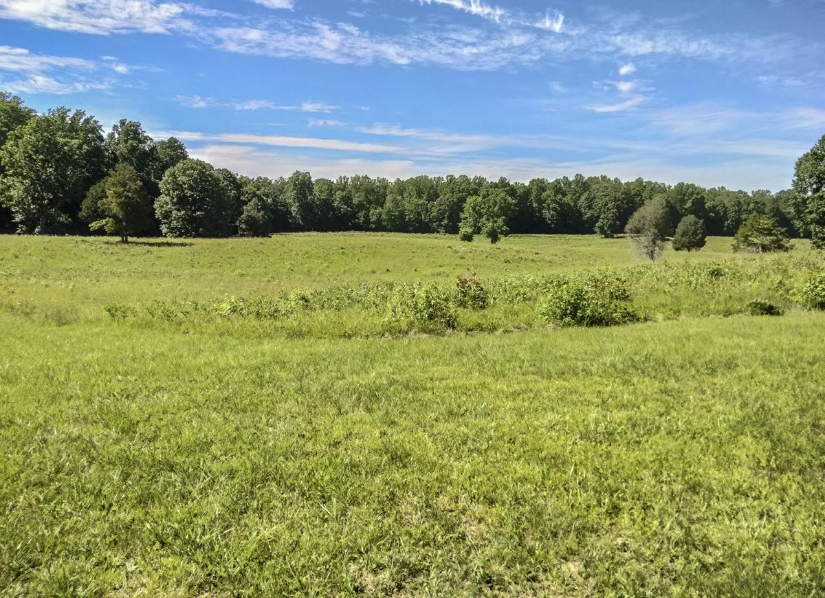 Central Virginia Battlefields Trust — photograph 6 from the original article